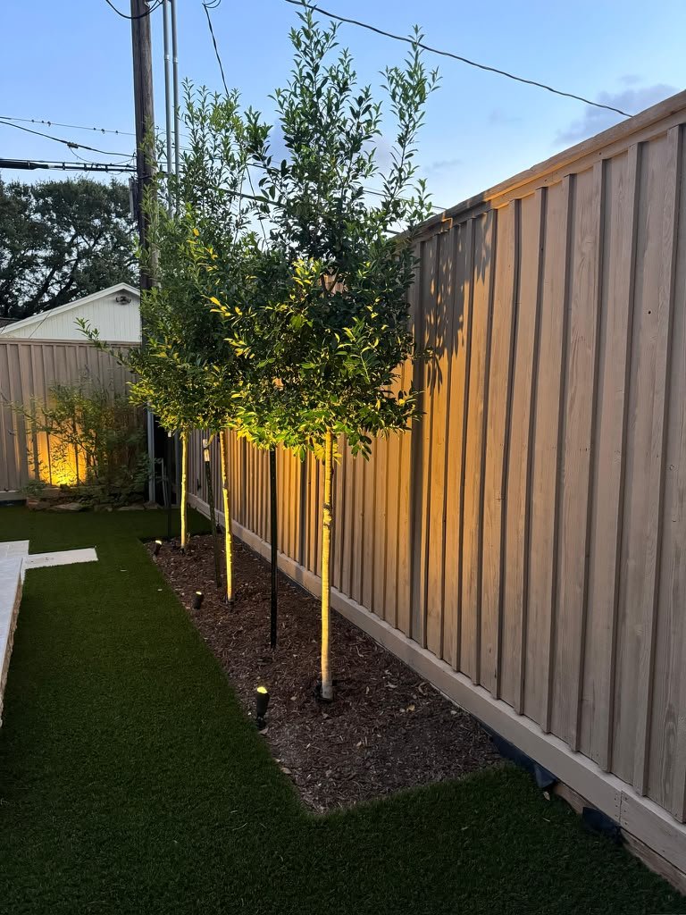 Landscape lighting installed along a residential outdoor area